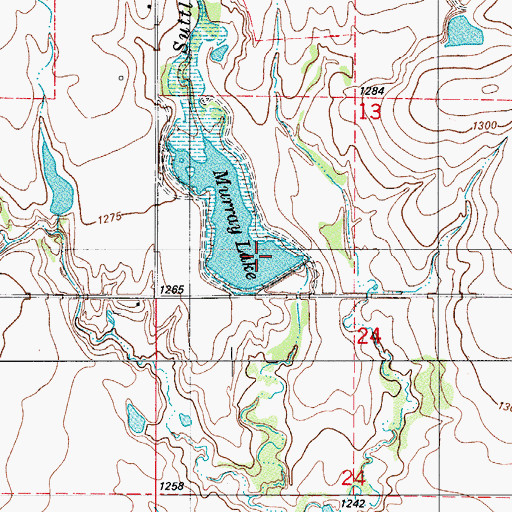 Topographic Map of Murray Lake, OK