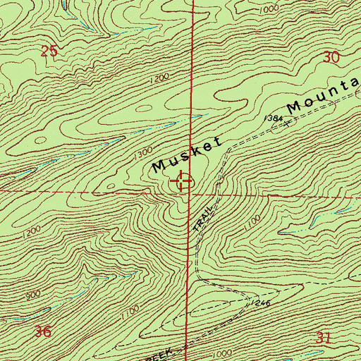 Topographic Map of Musket Mountain, OK