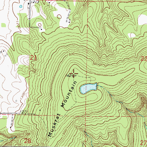 Topographic Map of Muskrat Mountain, OK