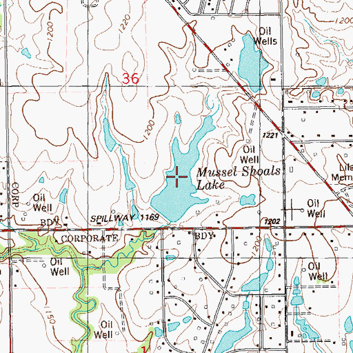 Topographic Map of Mussel Shoals Lake, OK