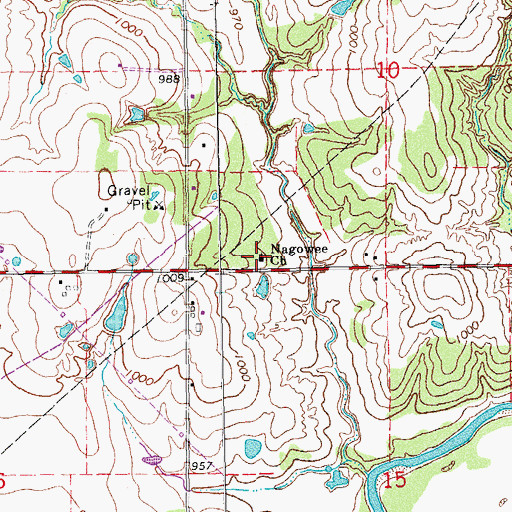 Topographic Map of Nagowee Church, OK