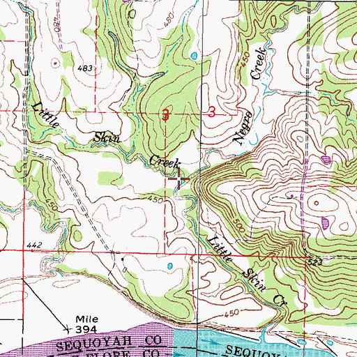 Topographic Map of Negro Creek, OK