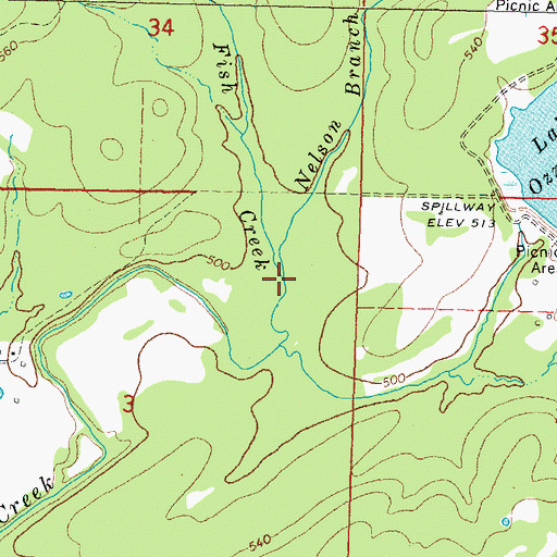 Topographic Map of Nelson Branch, OK