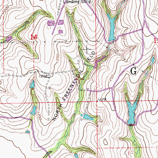 Topographic Map of North Freeny Oil Field, OK