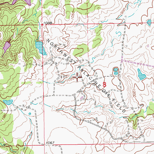 Topographic Map of Northwest Palacine Oil Field, OK