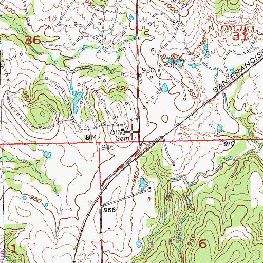 Topographic Map of Oliver Cemetery, OK
