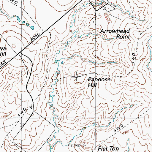 Topographic Map of Papoose Hill, OK