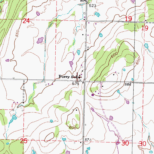 Topographic Map of Perry School, OK