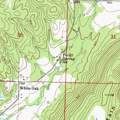 Topographic Map of Petitt Spring, OK