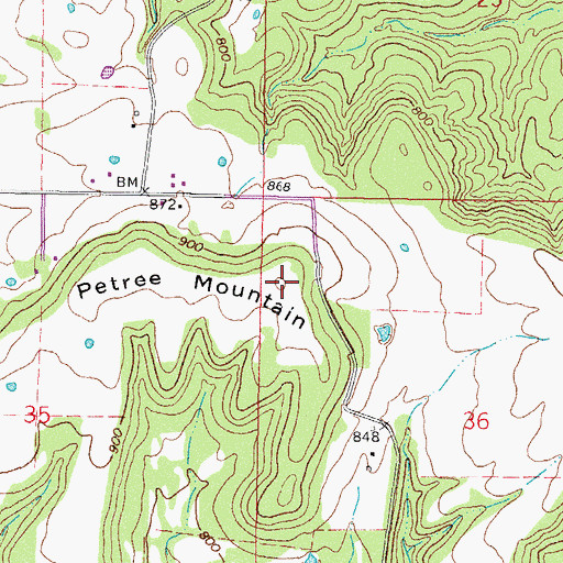 Topographic Map of Petree Mountain, OK