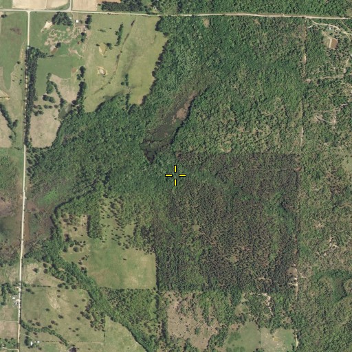Aerial/Satellite Image of Pine Hollow, OK