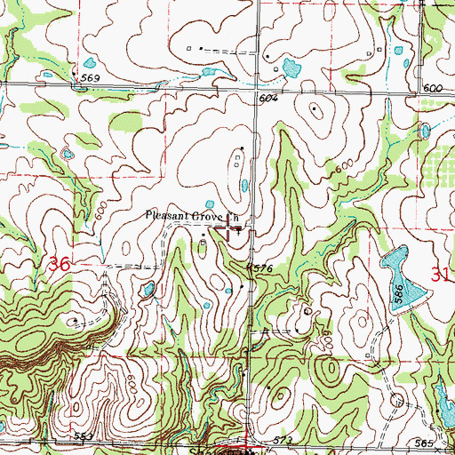Topographic Map of Pleasant Grove Church, OK