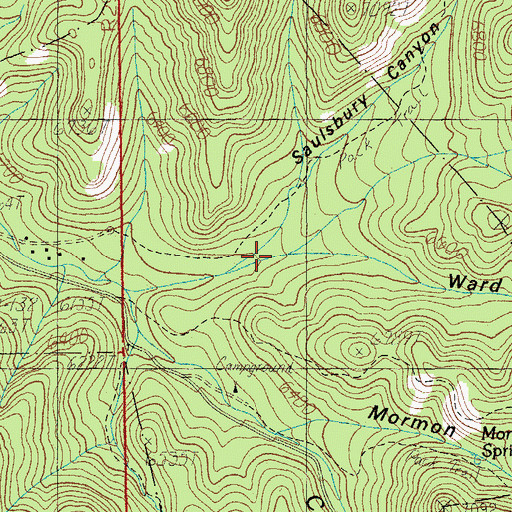 Topographic Map of Saulsbury Canyon, AZ