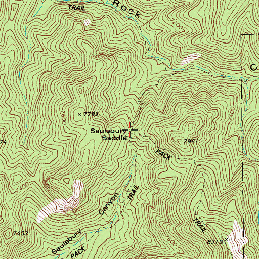Topographic Map of Saulsbury Saddle, AZ