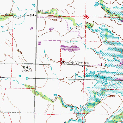 Topographic Map of Prairie View School, OK