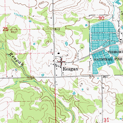 Topographic Map of Reagan, OK