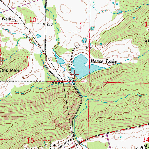 Topographic Map of Reese Lake, OK