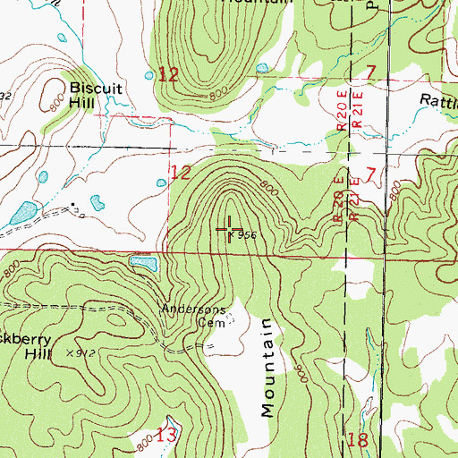 Topographic Map of Runnels Mountain, OK