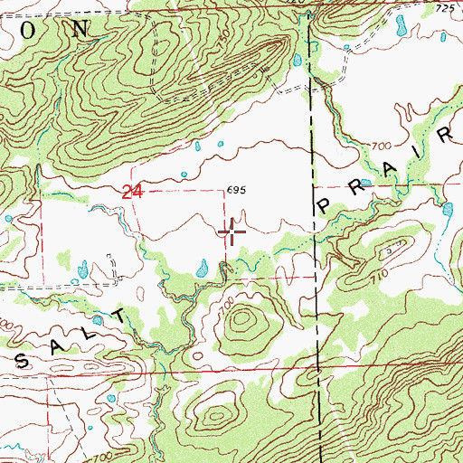 Topographic Map of Salt Prairie, OK