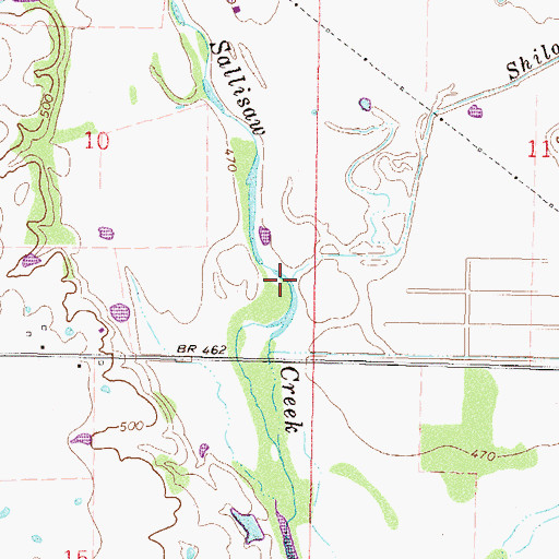 Topographic Map of Shiloh Branch, OK