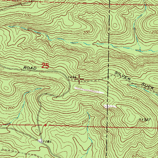 Topographic Map of Silver Suck Trail, OK