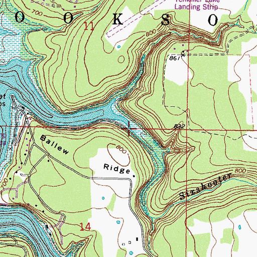 Topographic Map of Sixshooter Branch, OK