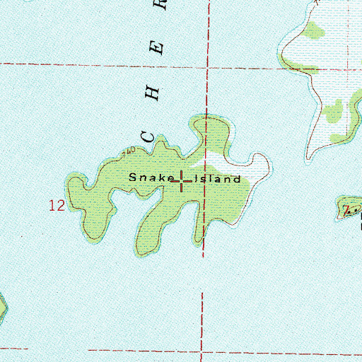 Topographic Map of Snake Island, OK