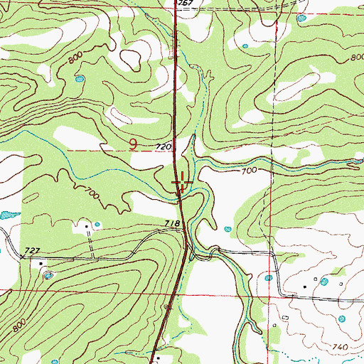 Topographic Map of South Gaines Creek, OK