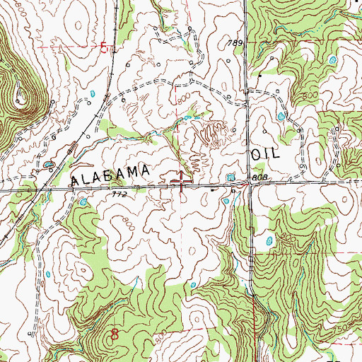 Topographic Map of Southwest Alabama Oil Field, OK