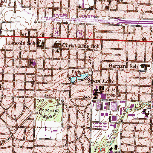 Topographic Map of Swan Lake, OK