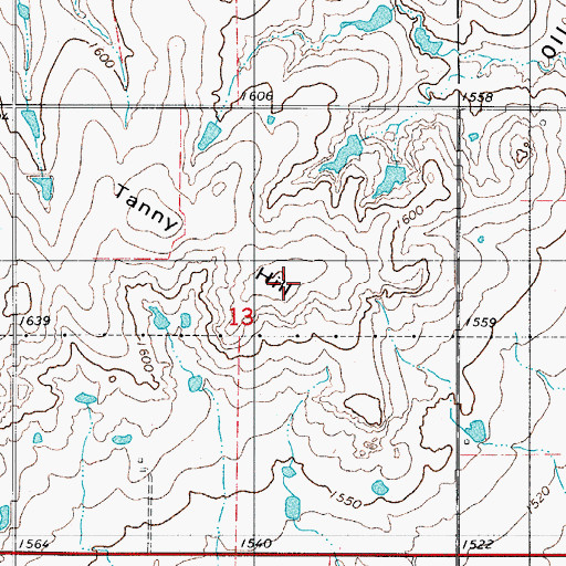 Topographic Map of Tanny Hill, OK