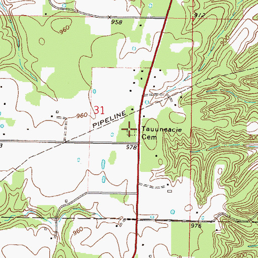 Topographic Map of Tauuneacie Cemetery, OK