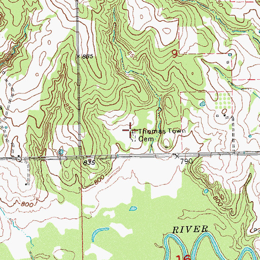Topographic Map of Thomas Town Cemetery, OK