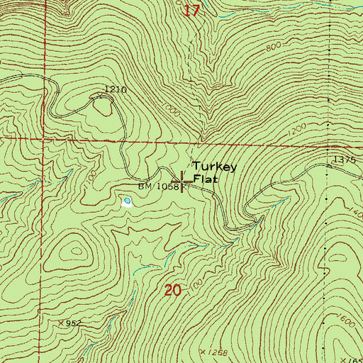 Topographic Map of Turkey Flat, OK