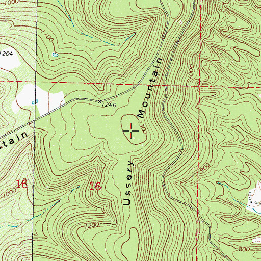 Topographic Map of Ussery Mountain, OK