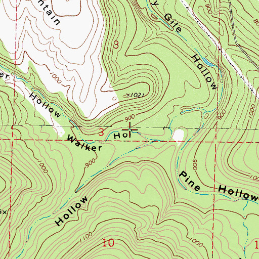 Topographic Map of Walker Hollow, OK