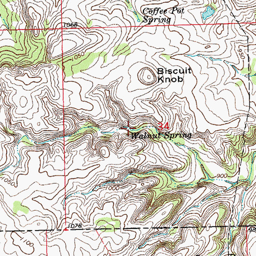Topographic Map of Walnut Spring, OK
