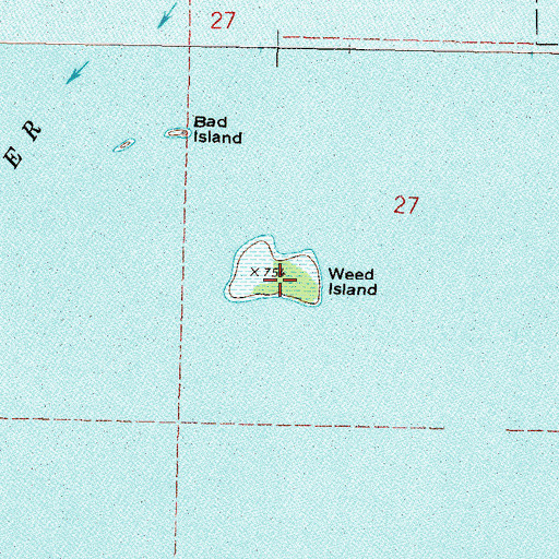 Topographic Map of Weed Island, OK