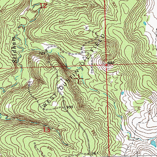 Topographic Map of West Dustin Oil Field, OK