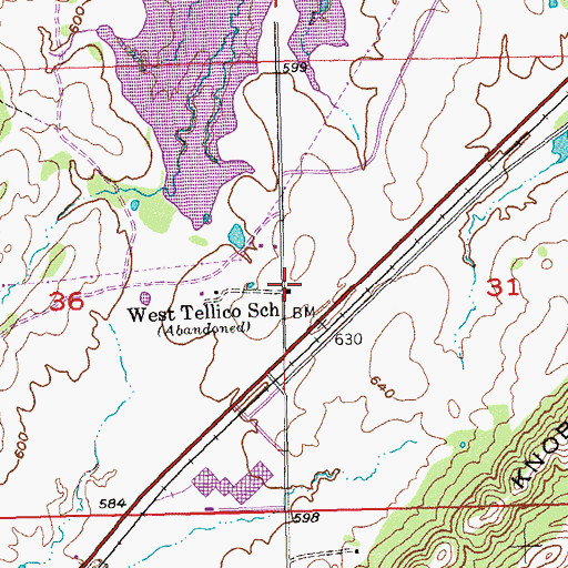 Topographic Map of West Tellico School, OK