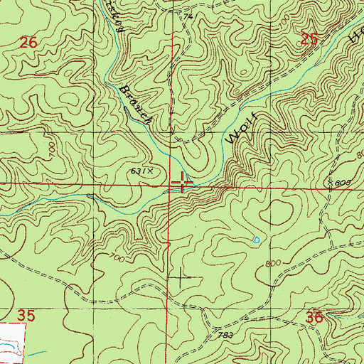 Topographic Map of Whisky Branch, OK