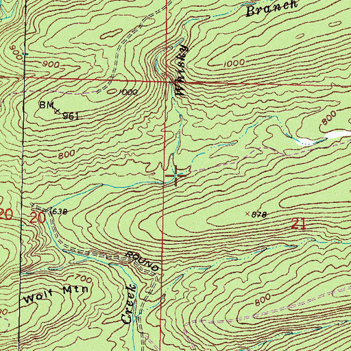 Topographic Map of Whisky Branch, OK
