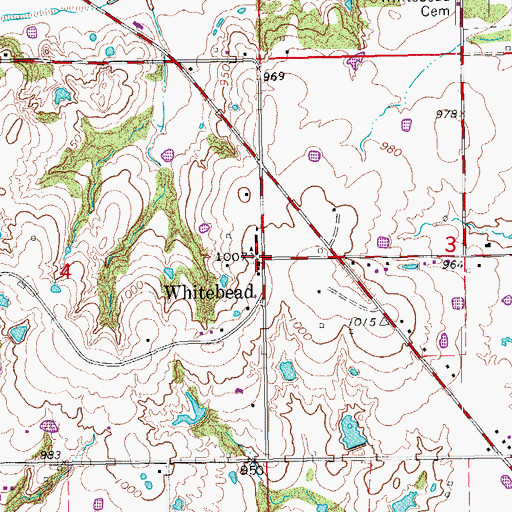 Topographic Map of Whitebead, OK