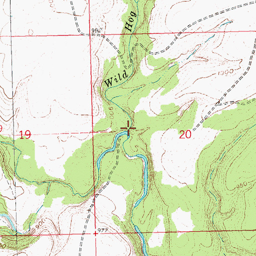 Topographic Map of Wild Hog Creek, OK