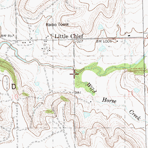 Topographic Map of Wild Horse Creek, OK