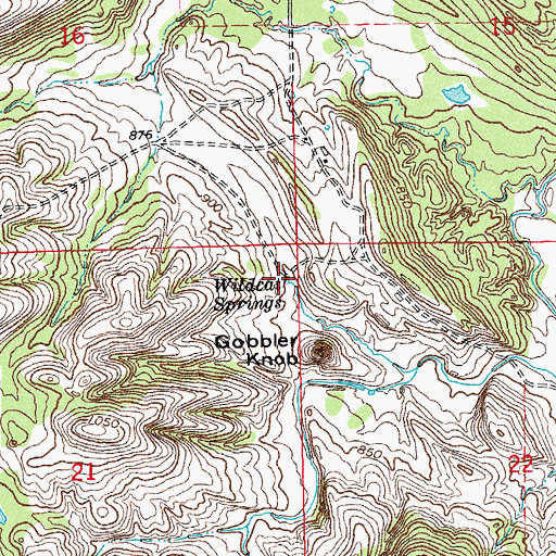 Topographic Map of Wildcat Springs, OK