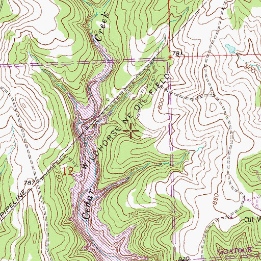 Topographic Map of Wildhorse NE Oil Field, OK
