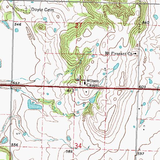 Topographic Map of Wilson Chapel, OK