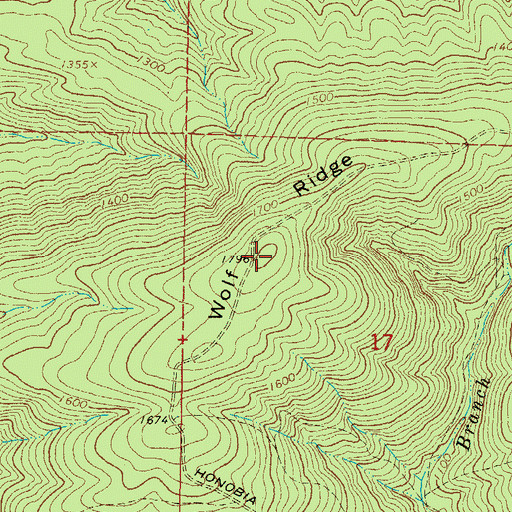 Topographic Map of Wolf Ridge, OK