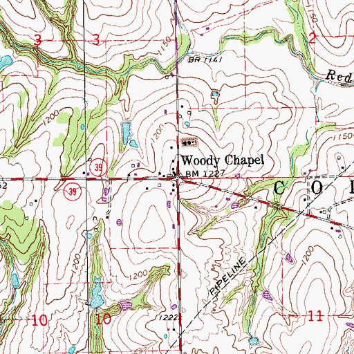 Topographic Map of Woody Chapel, OK